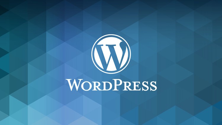Plugin wordpress là gì? Hướng dẫn cho người mới bắt đầu 1 520116 edf5 2 2
